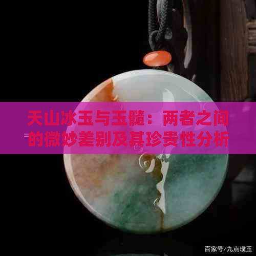 天山冰玉与玉髓：两者之间的微妙差别及其珍贵性分析