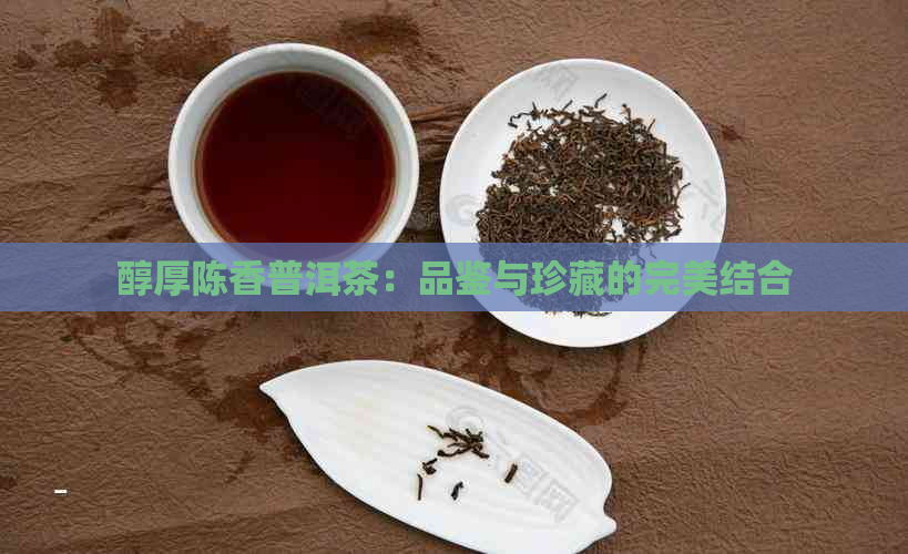 醇厚陈香普洱茶：品鉴与珍藏的完美结合