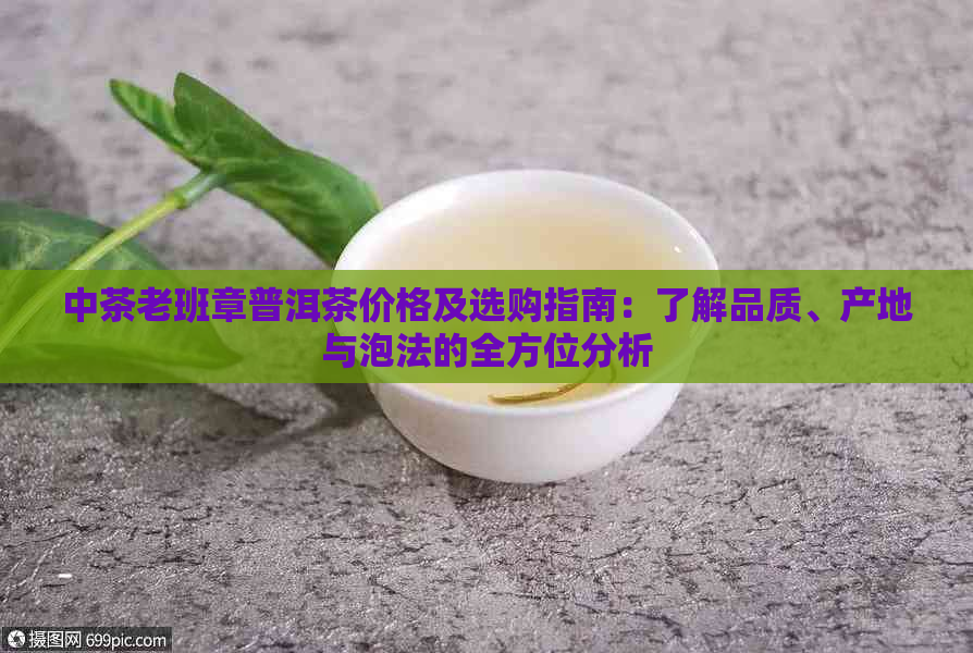 中茶老班章普洱茶价格及选购指南：了解品质、产地与泡法的全方位分析