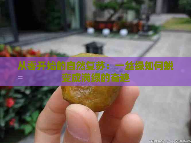 从零开始的自然复苏：一丝绿如何蜕变成满绿的奇迹