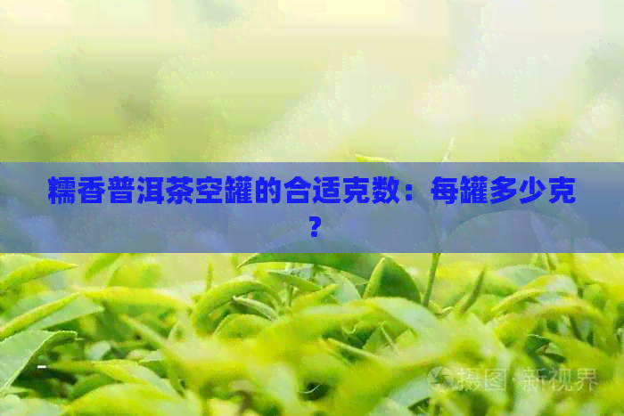 糯香普洱茶空罐的合适克数：每罐多少克？