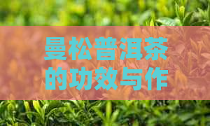 曼松普洱茶的功效与作用-曼松普洱茶的功效与作用及禁忌