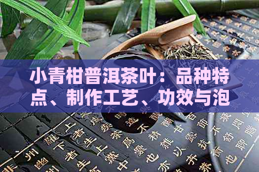 小青柑普洱茶叶：品种特点、制作工艺、功效与泡法全面解析