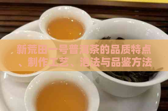 新荒田一号普洱茶的品质特点、制作工艺、泡法与品鉴方法全方位解析