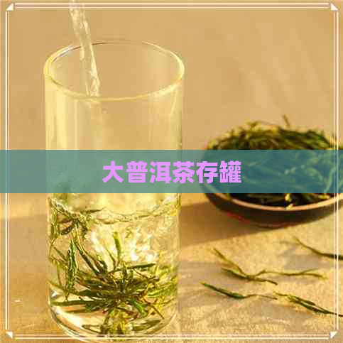 大普洱茶存罐