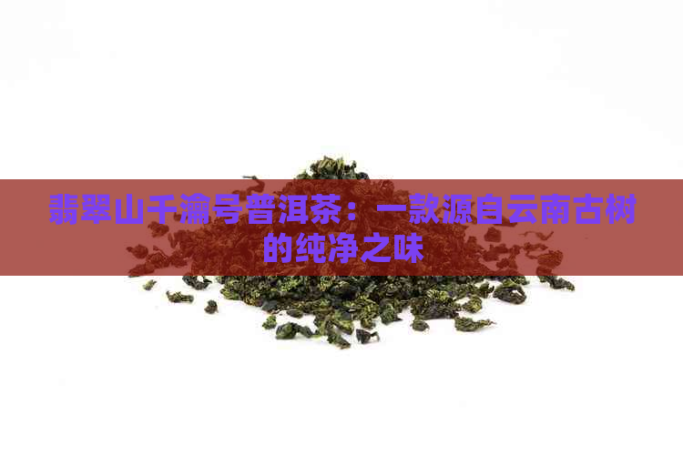 翡翠山千瀹号普洱茶：一款源自云南古树的纯净之味