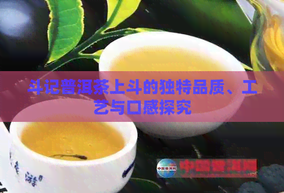 斗记普洱茶上斗的独特品质、工艺与口感探究