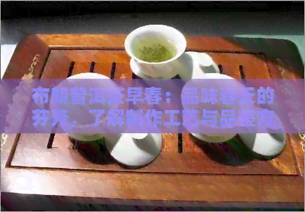 布朗普洱茶早春：品味春天的芬芳，了解制作工艺与品鉴方法