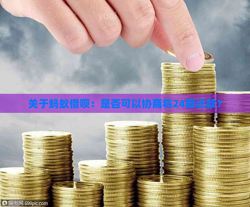 关于蚂蚁借呗：是否可以协商将24期还款？