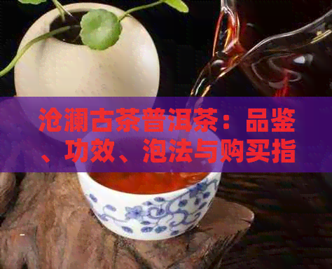 沧澜古茶普洱茶：品鉴、功效、泡法与购买指南，全面解答您的疑问