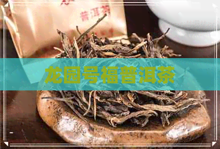 龙园号福普洱茶