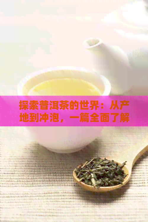 探索普洱茶的世界：从产地到冲泡，一篇全面了解普洱茶的教程