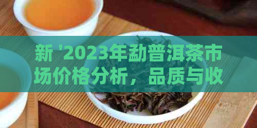 新 '2023年勐普洱茶市场价格分析，品质与收藏价值探讨'