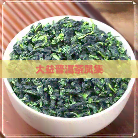 大益普洱茶凤集