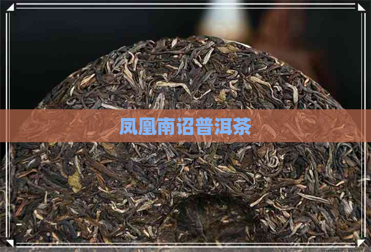 凤凰南诏普洱茶