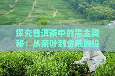 探究普洱茶中的黑金奥秘：从茶叶到金融的投资密码