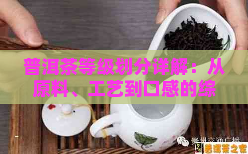 普洱茶等级划分详解：从原料、工艺到口感的综合评价，助你轻松选好茶