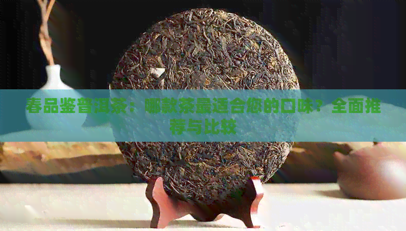 春品鉴普洱茶：哪款茶最适合您的口味？全面推荐与比较