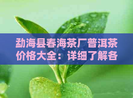 勐海县春海茶厂普洱茶价格大全：详细了解各种型号和等级的茶叶售价