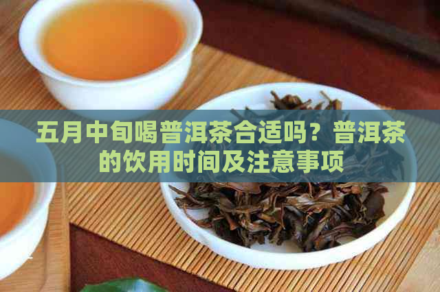 五月中旬喝普洱茶合适吗？普洱茶的饮用时间及注意事项