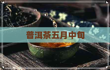 普洱茶五月中旬