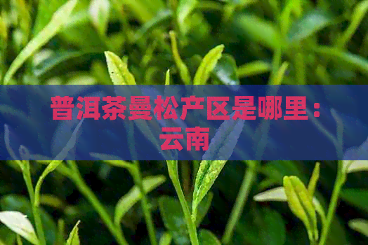 普洱茶曼松产区是哪里：云南