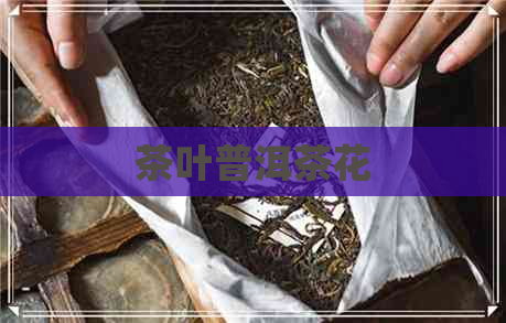 茶叶普洱茶花