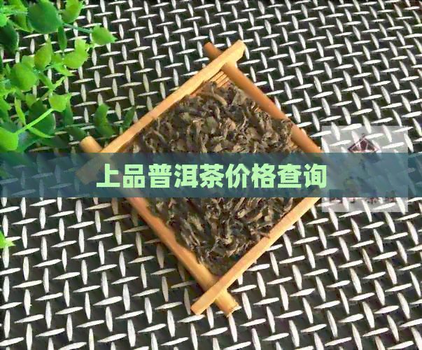 上品普洱茶价格查询