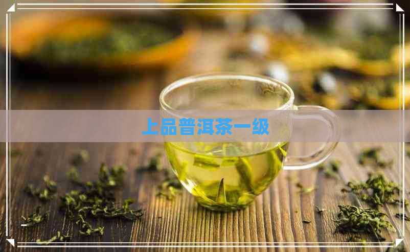 上品普洱茶一级