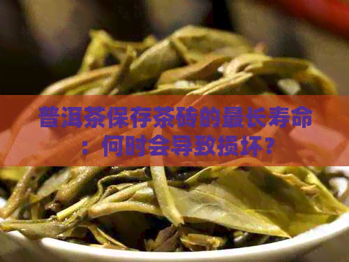 普洱茶保存茶砖的最长寿命：何时会导致损坏？