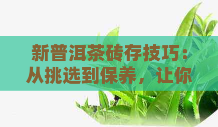 新普洱茶砖存技巧：从挑选到保养，让你的茶叶长久保持香气