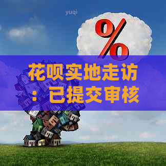 花呗实地走访：已提交审核，期待进一步审批与反馈