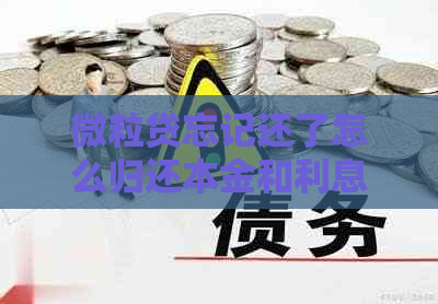 微粒贷忘记还了怎么归还本金和利息，操作步骤和解决方法