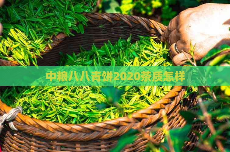 中粮八八青饼2020茶质怎样