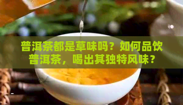 普洱茶都是草味吗？如何品饮普洱茶，喝出其独特风味？