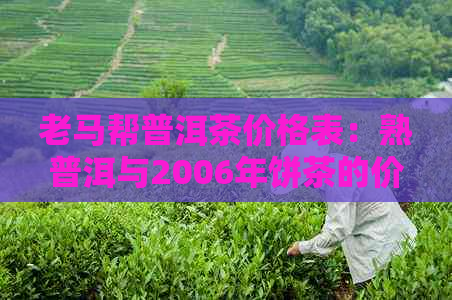 老马帮普洱茶价格表：熟普洱与2006年饼茶的价格解析