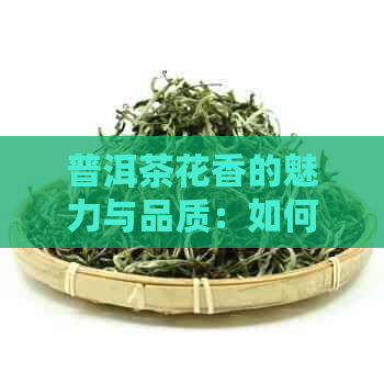 普洱茶花香的魅力与品质：如何辨别与欣？