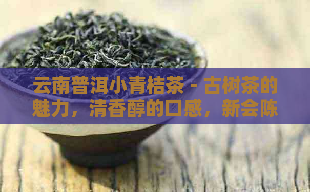 云南普洱小青桔茶 - 古树茶的魅力，清香醇的口感，新会陈皮的独特风味