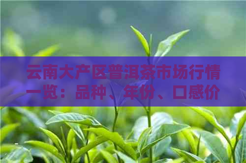 云南大产区普洱茶市场行情一览：品种、年份、口感价格全解析