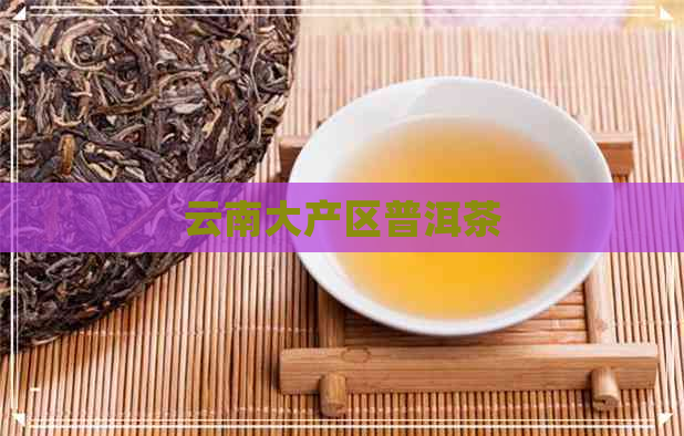 云南大产区普洱茶