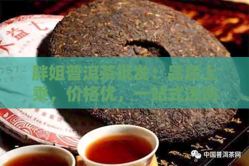 胖姐普洱茶批发：品质上乘，价格优，一站式选购解决方案