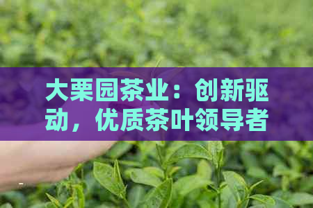 大栗园茶业：创新驱动，优质茶叶领导者