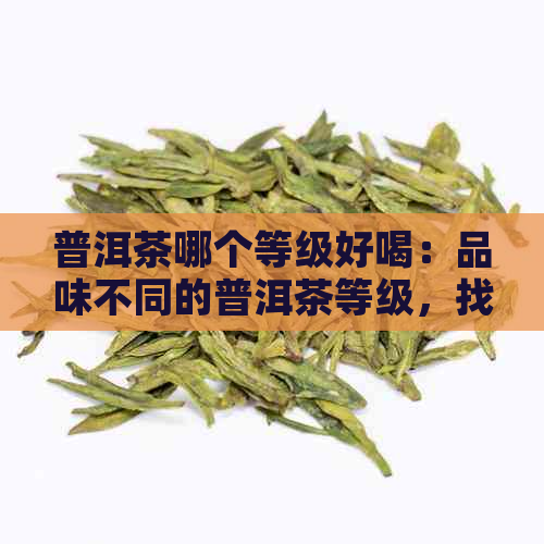 普洱茶哪个等级好喝：品味不同的普洱茶等级，找到最适合你的那一款