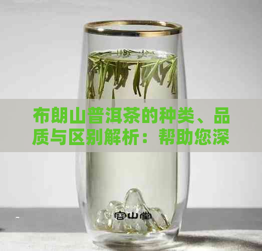 布朗山普洱茶的种类、品质与区别解析：帮助您深入了解这一独特茶叶的全貌