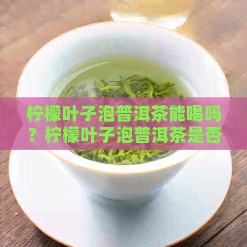 柠檬叶子泡普洱茶能喝吗？柠檬叶子泡普洱茶是否可行？