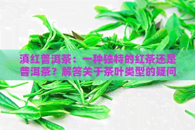 滇红普洱茶：一种独特的红茶还是普洱茶？解答关于茶叶类型的疑问