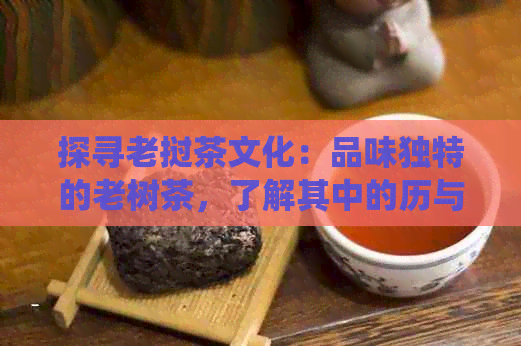 探寻老挝茶文化：品味独特的老树茶，了解其中的历与传统