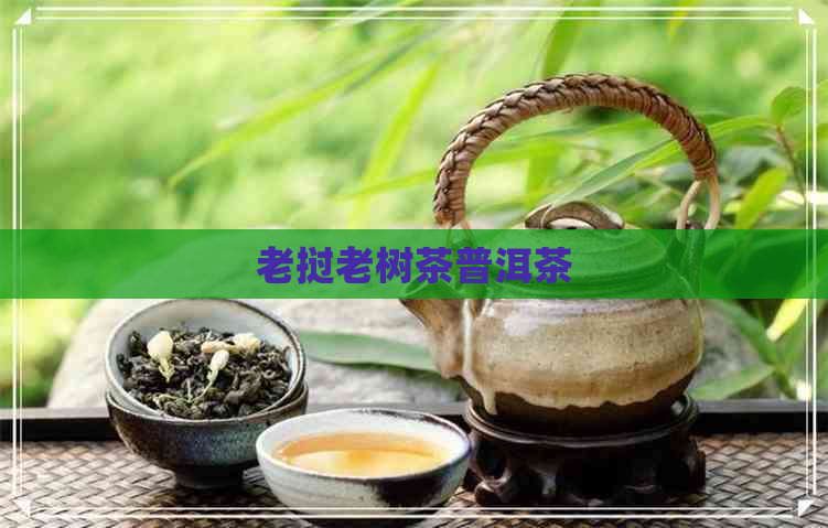 老挝老树茶普洱茶