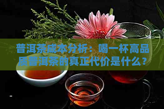 普洱茶成本分析：喝一杯高品质普洱茶的真正代价是什么？