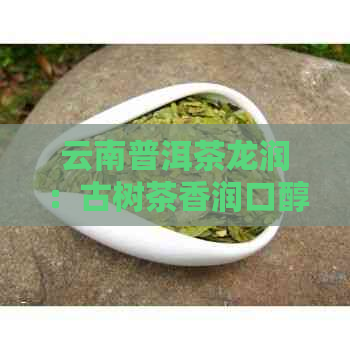 云南普洱茶龙润：古树茶香润口醇，品质越品味非凡